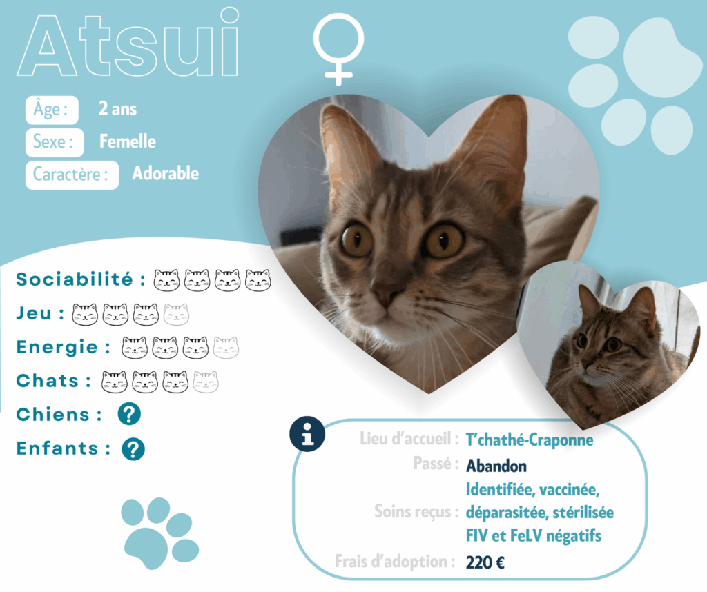 ATSUI