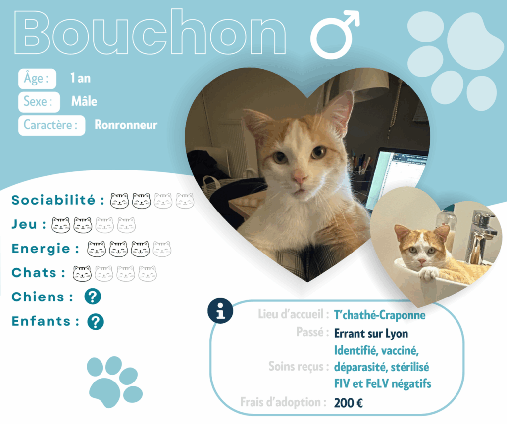 BOUCHON