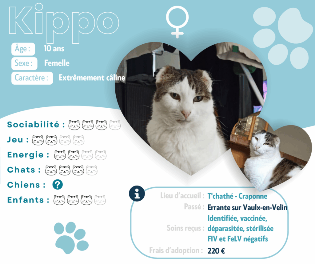 KIPPO
